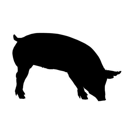 Piglet Iron on Decal